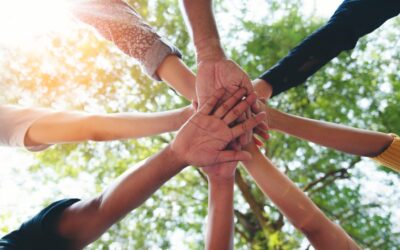Trois nouvelles actions labellisées