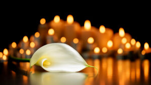 Une fleur de lys entourée de bougies allumées