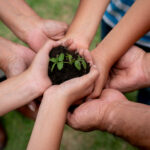 Graine germant dans les mains d'une famille